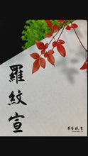 將影片載入圖庫檢視器並播放,羅紋宣