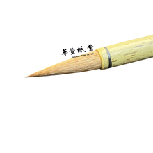 將圖片載入圖庫檢視器 小行草 - 大蘭竹
